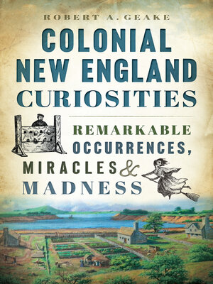cover image of Colonial New England Curiosities
